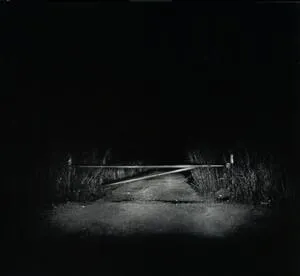 I have fought against it, but I can't any longer.